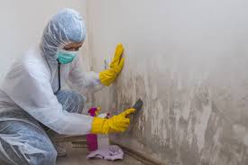 Best Water Damage & Mold Remediation  in Leominster, MA